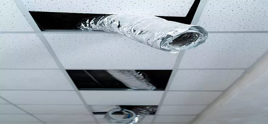 Our Air Duct Pet Hair Removal Services in Johnstown, PA