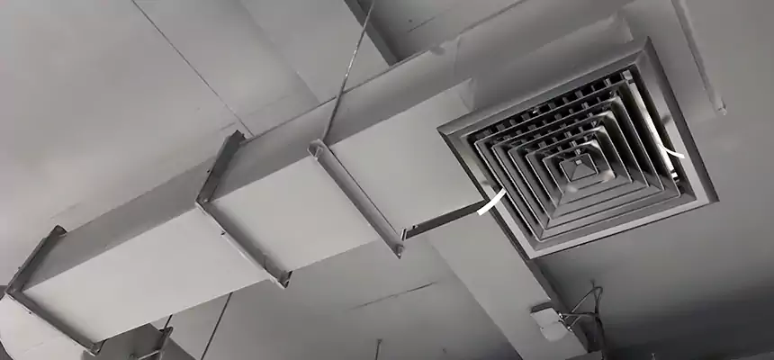 Our Pest Removal From Ducts Services in Johnstown, PA