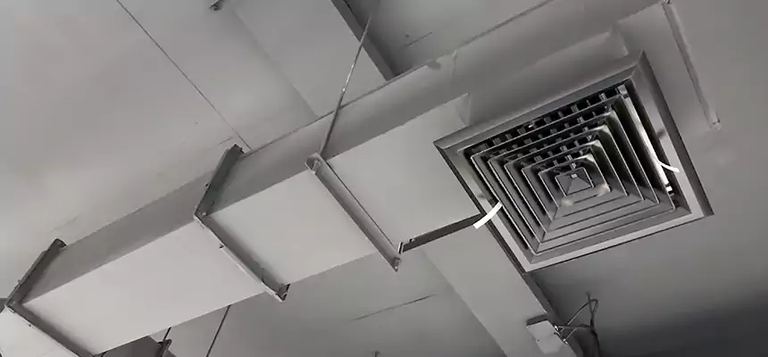 Our Rodent Droppings In Vents Services in Johnstown, PA