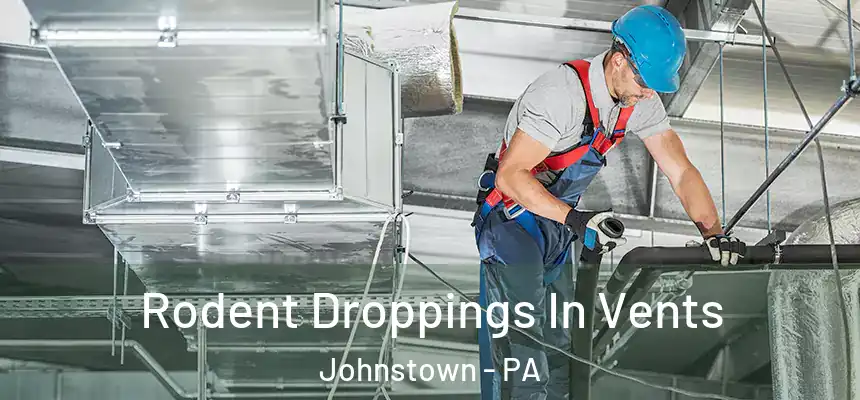  Rodent Droppings In Vents Johnstown - PA