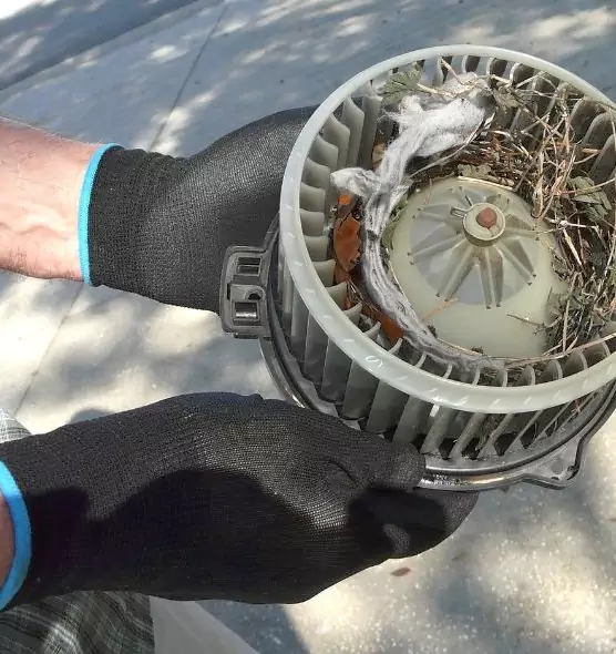 About Air Duct Rat Removal in Johnstown, PA