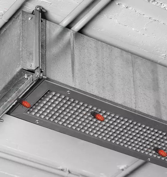 Affordable Insect Removal from Air Ducts in Johnstown, PA