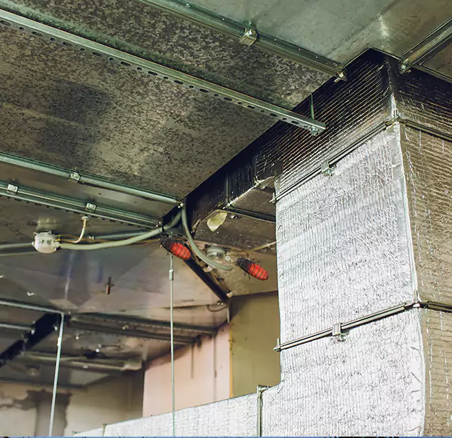 Why Homeowners & Businesses Trust Us in Johnstown, PA?