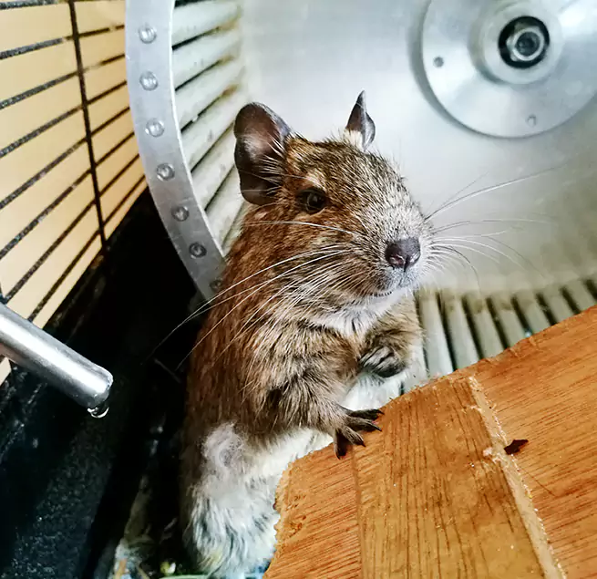 Why Homeowners & Businesses Trust Us Johnstown, PA?